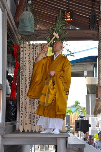 DSC_0063.JPG DSC 0063