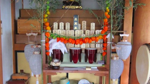 IMG_3254.jpg IMG 3254