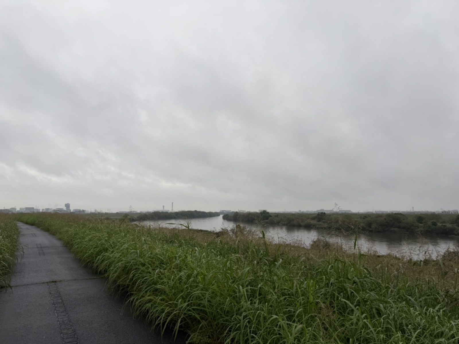 小雨の中の土手の散歩道