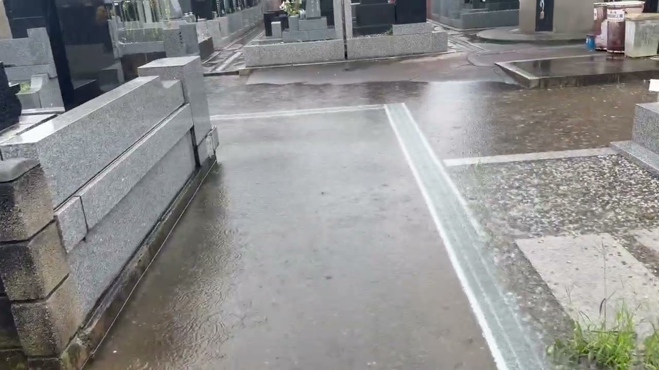 動画のサムネイル画像