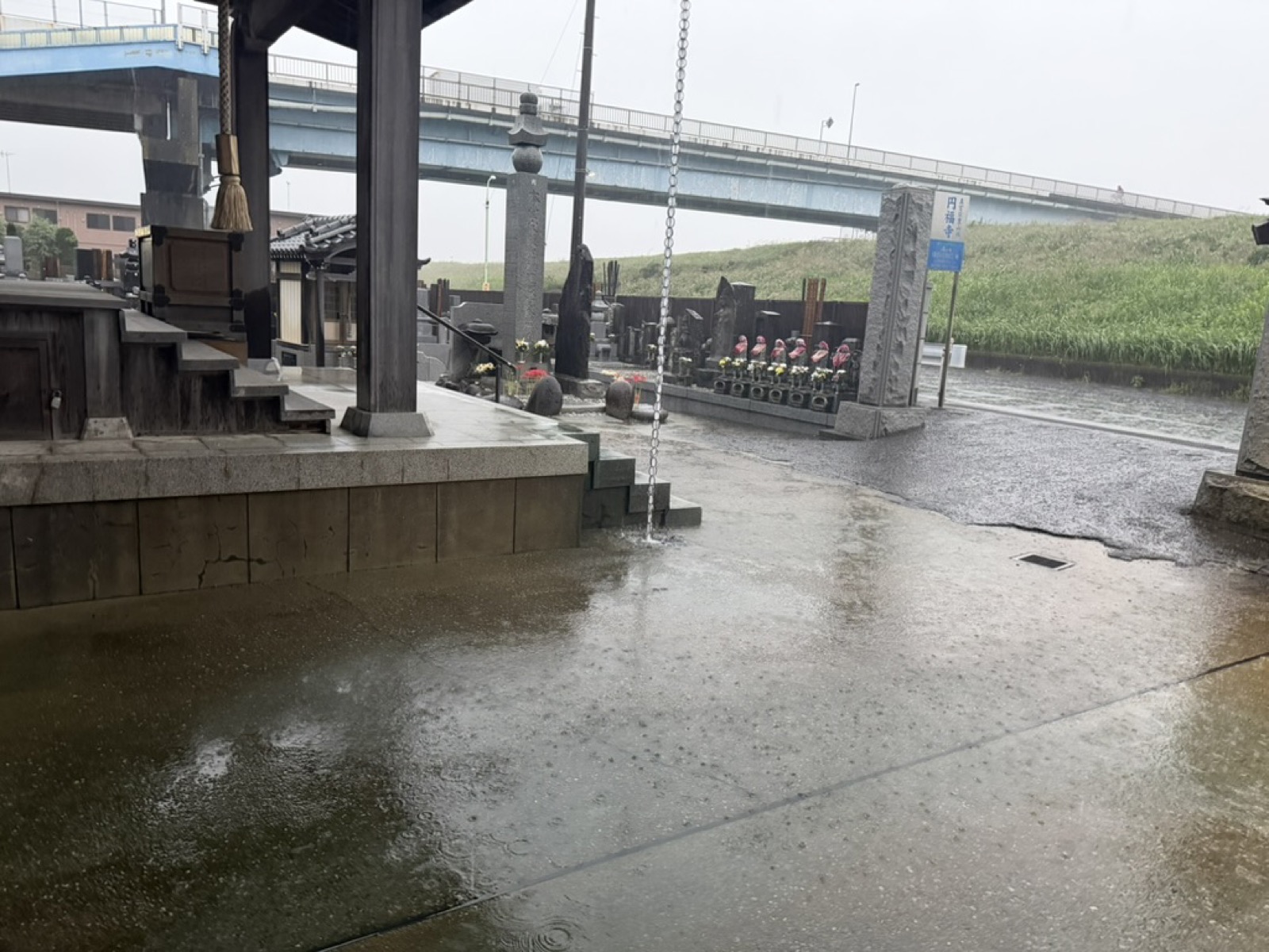 雨の降る境内の様子