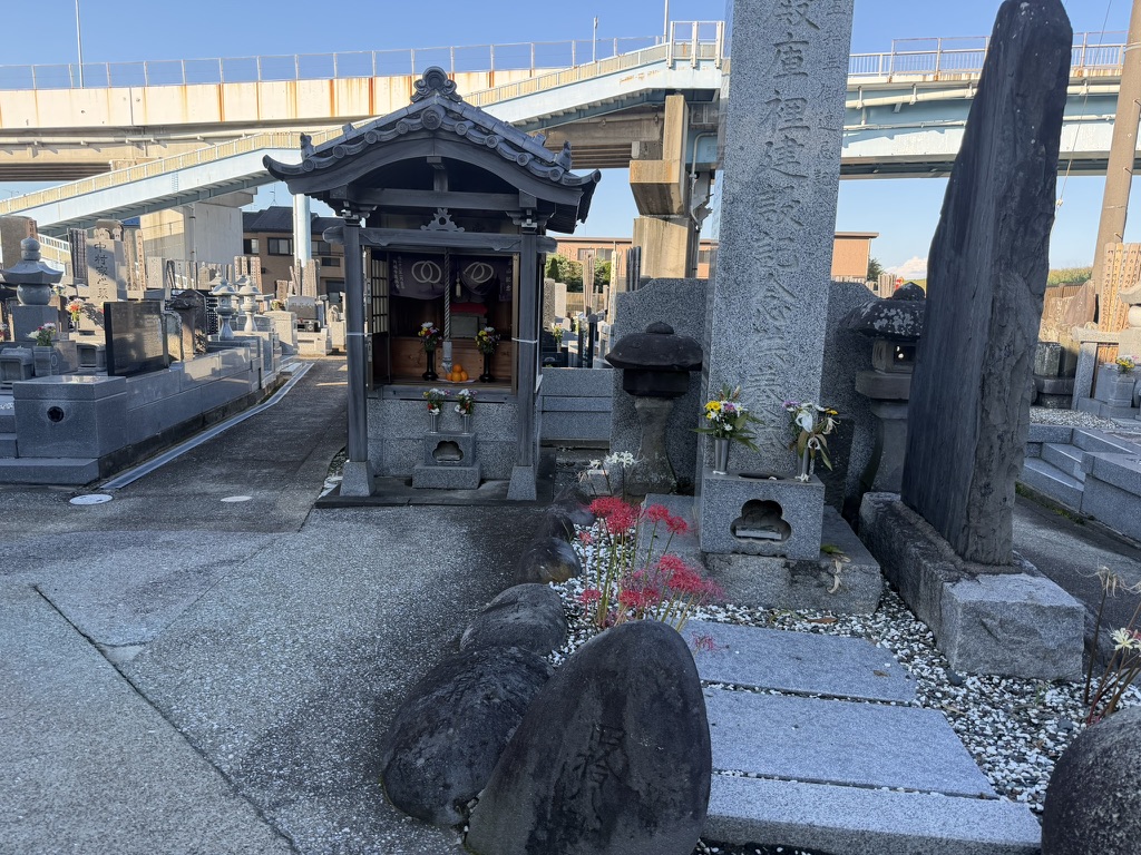 境内の彼岸花と青空