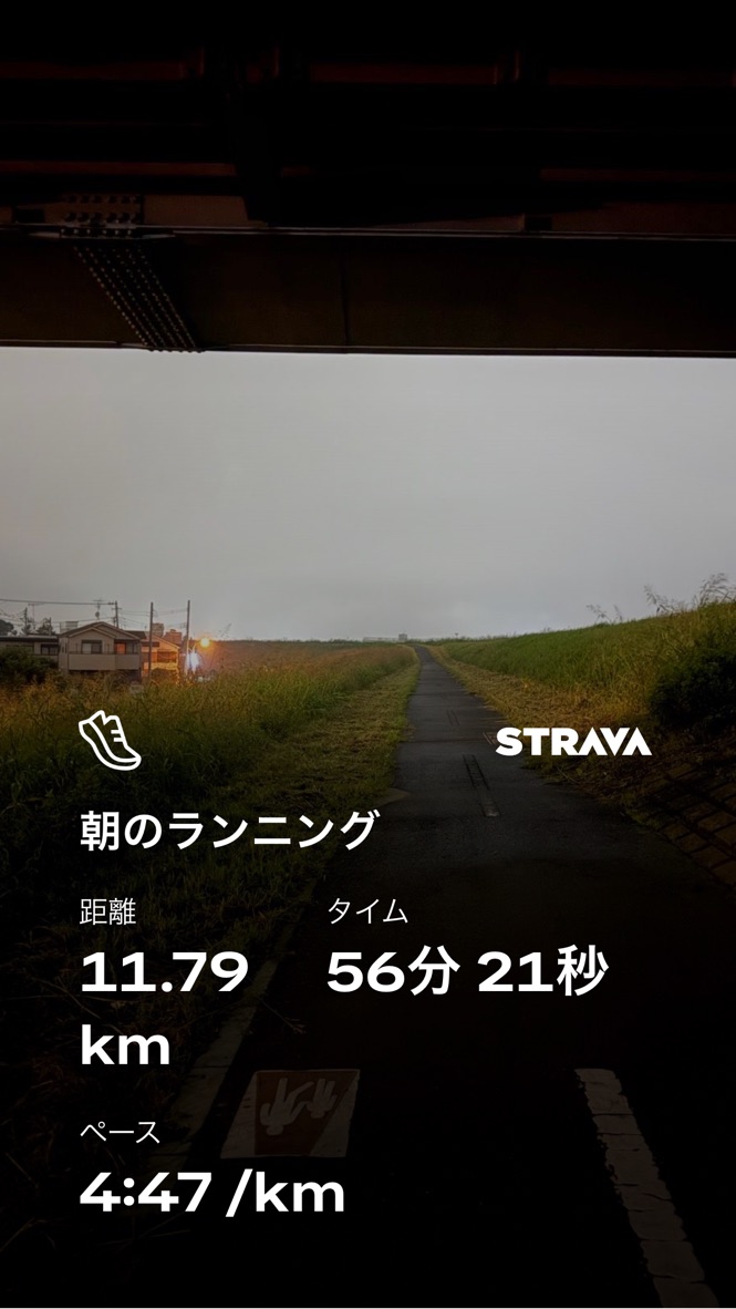 Stravaのスクリーンショット:11.79km / 56分21秒 / 4:47/km