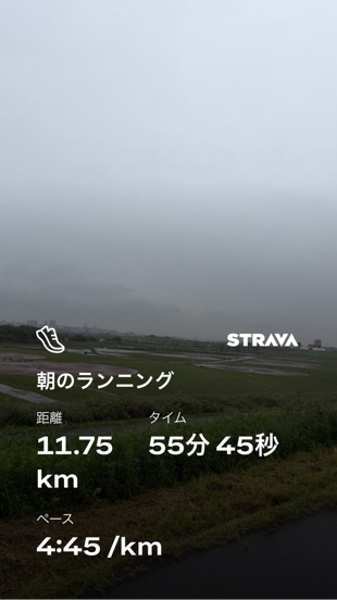 Stravaのランニング記録