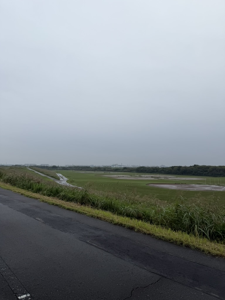 雨の土手と江戸川河川敷