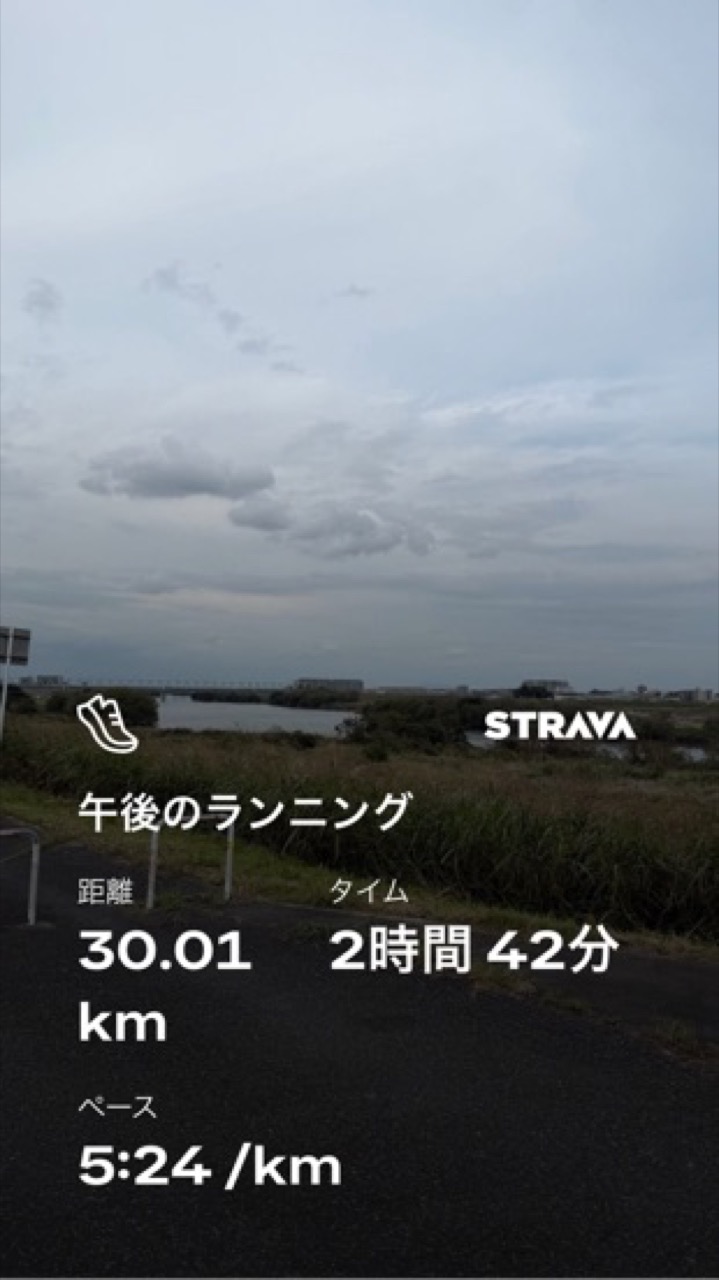 30kmランニング Stravaの記録