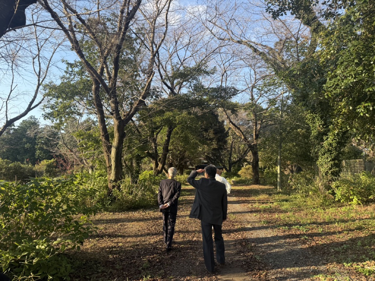 萬蔵院の参道(木々)