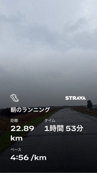 Stravaスクリーンショット：22.89km / 1時間53分 / 4:56/km