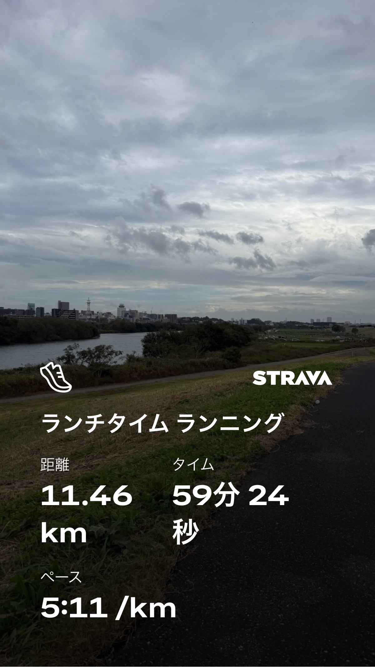 Stravaスクリーンショット:11.46km / 59分24秒 / 5:11/km