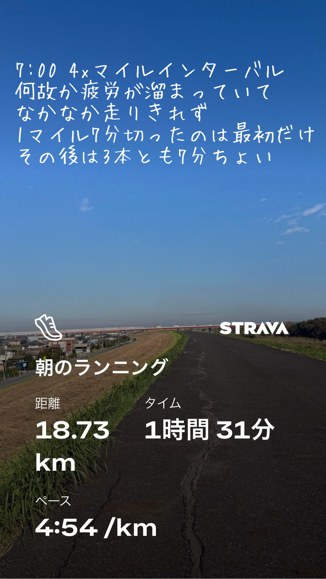 Stravaスクリーンショット（18.73km / 1時間31分 / 4:54/km）