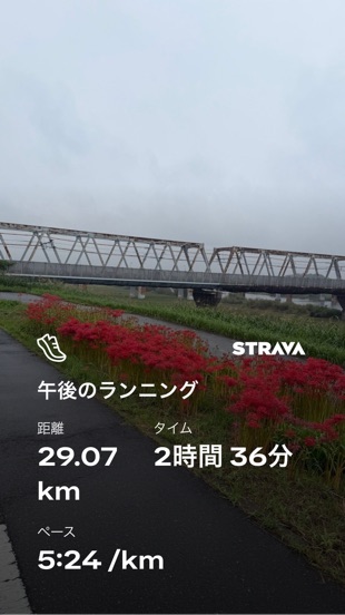 Strava 29.07km 5:24/km